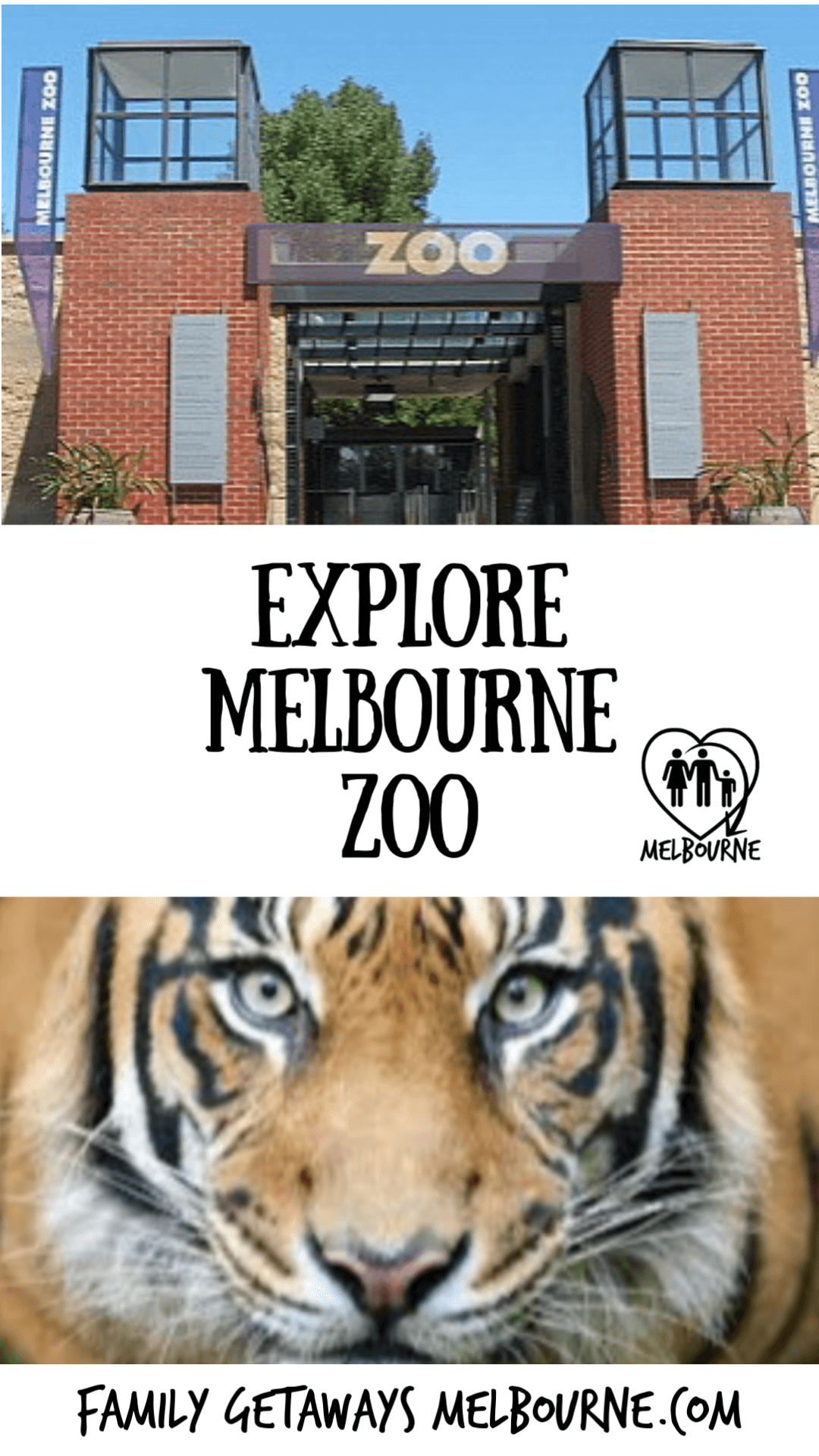 The Melbourne Zoo in the heart of the city
